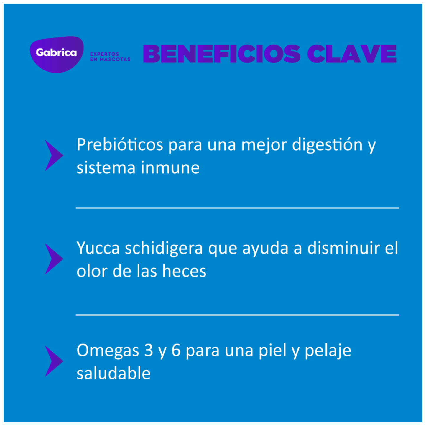 Alimento Seco Para Perro Guaumor Adulto Razas Medianas y Grandes