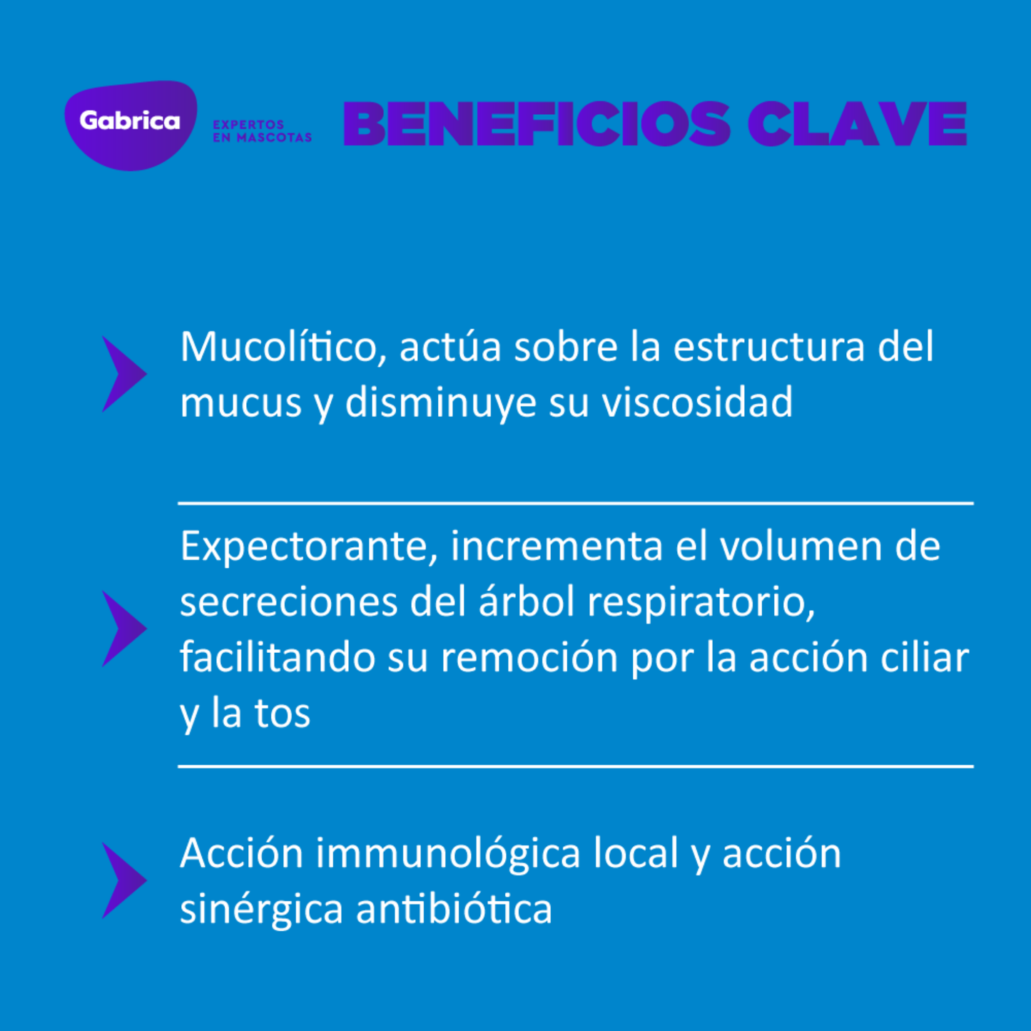 Solubron 20 Mucolítico Expectorante Para Perro y Gato X 30 Comprimidos