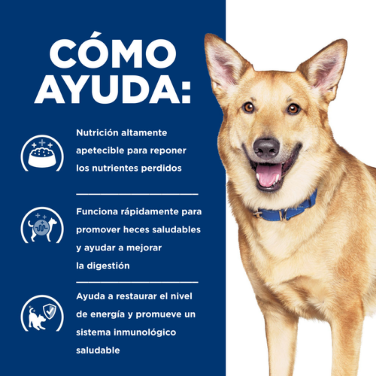 Hills Prescription Diet i/d Digestive Care Pavo Alimento Húmedo Perro