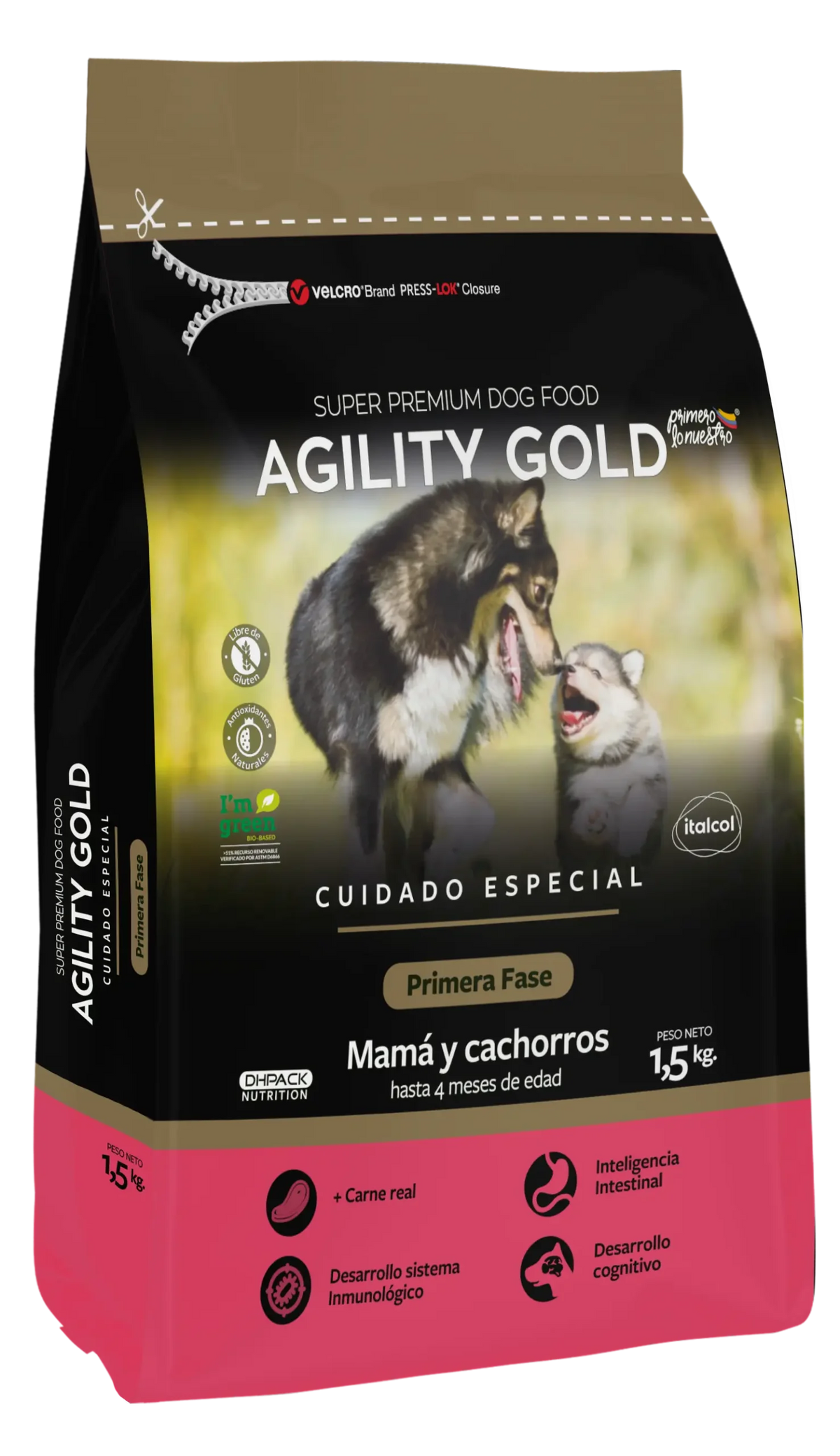 AGILITY GOLD PRIMERA FASE y Madre