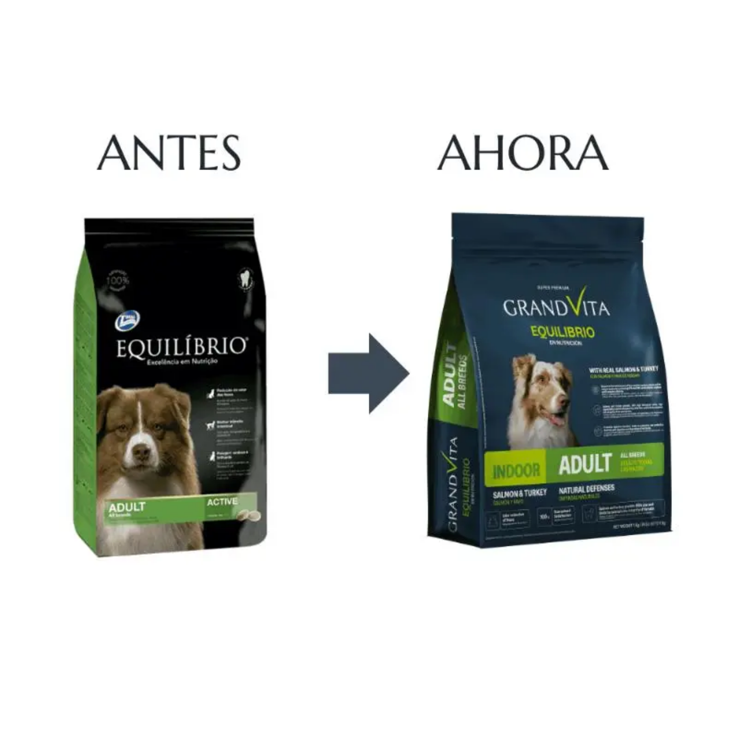 Alimento Grand Vita Equilibrio Perro Adulto All Breed Indoor Salmón y Pavo