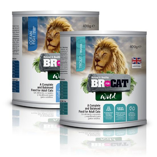 Alimento Húmedo para Gato BR For Cat Wild Lata 400 gr
