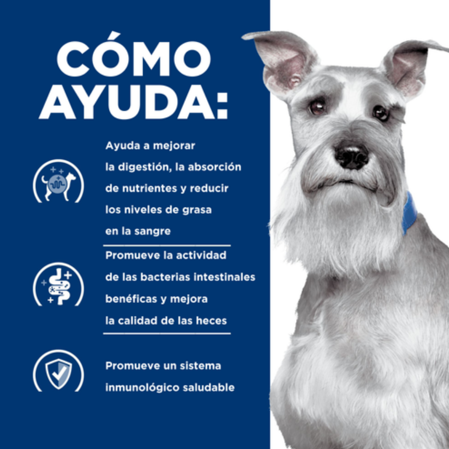 Hills Prescription Diet i/d - Como ayuda infografico