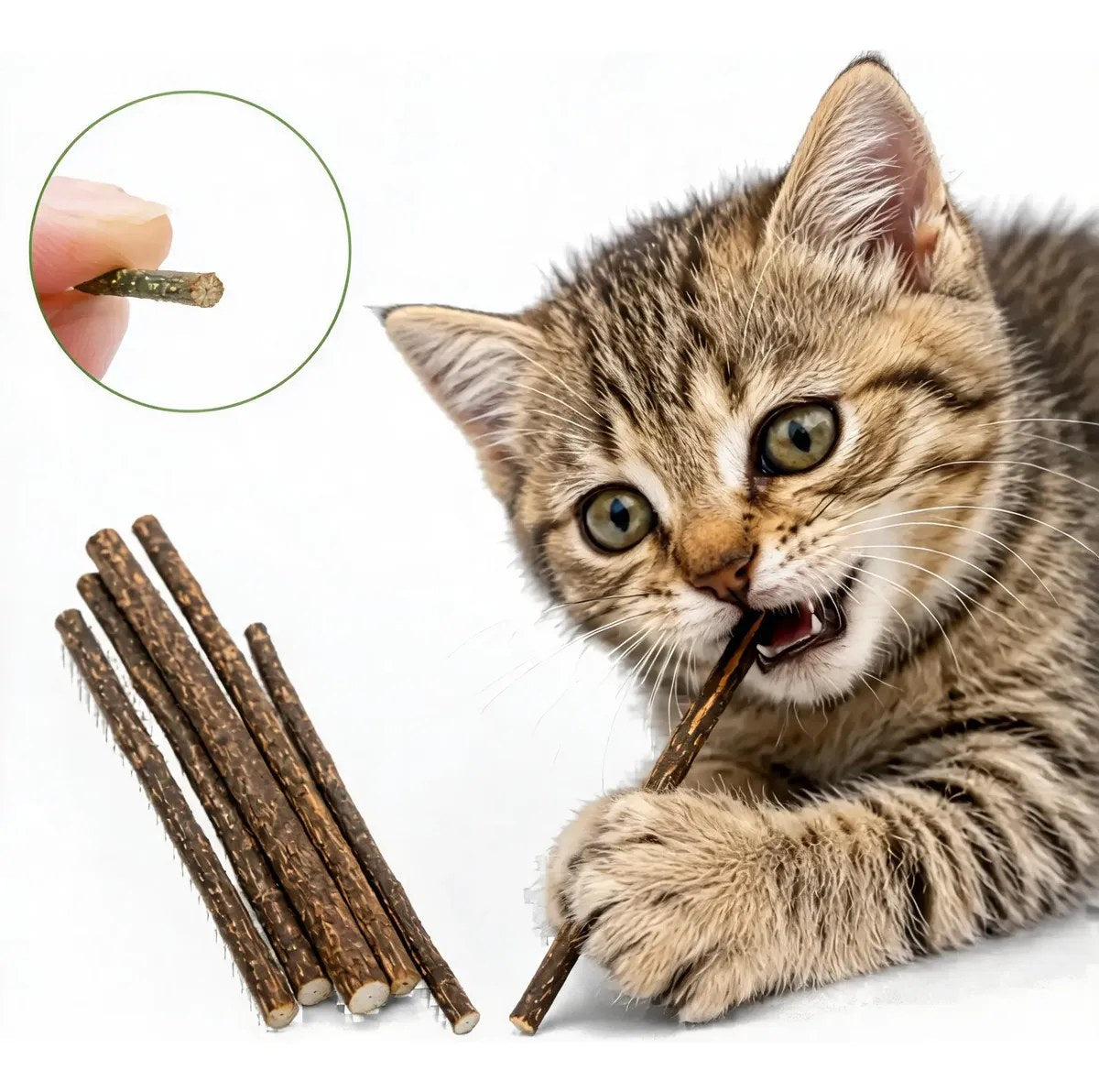 Gato mordiendo un palito de matatabi pequeño