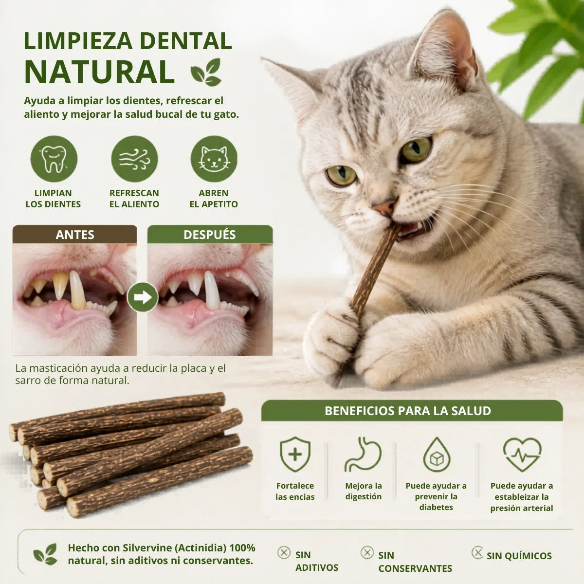 Palitos de matatabi para la limpieza dental natural del gato