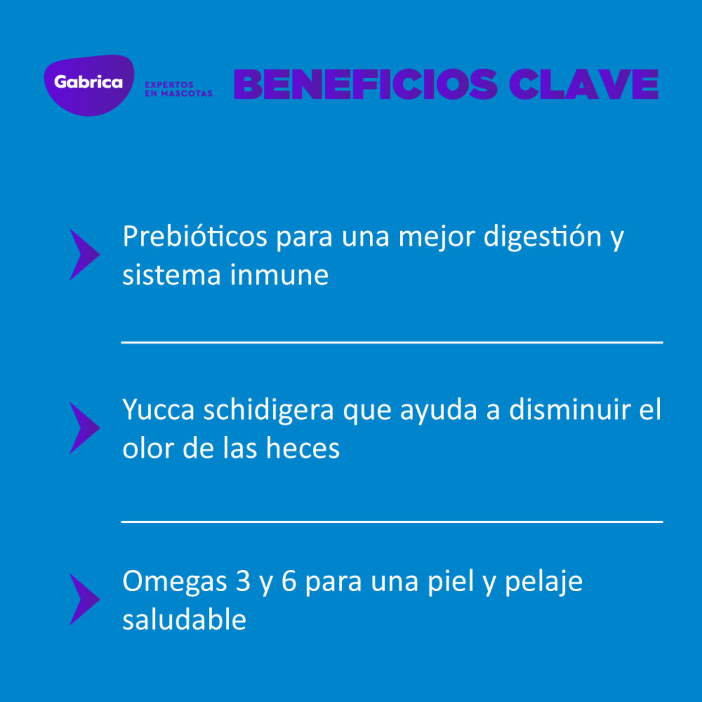 Alimento Seco Para Perro Guaumor Adulto Razas Pequeñas