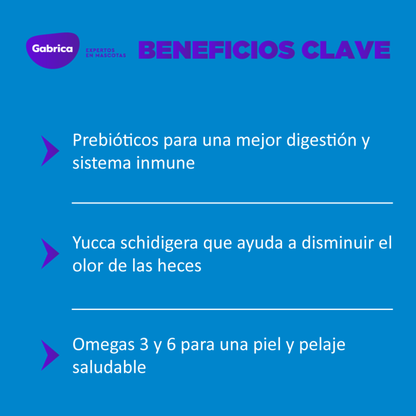 Alimento Seco Para Perro Guaumor Adulto Razas Pequeñas