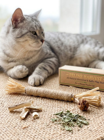 Gato junto a un palito de matatabi mediano