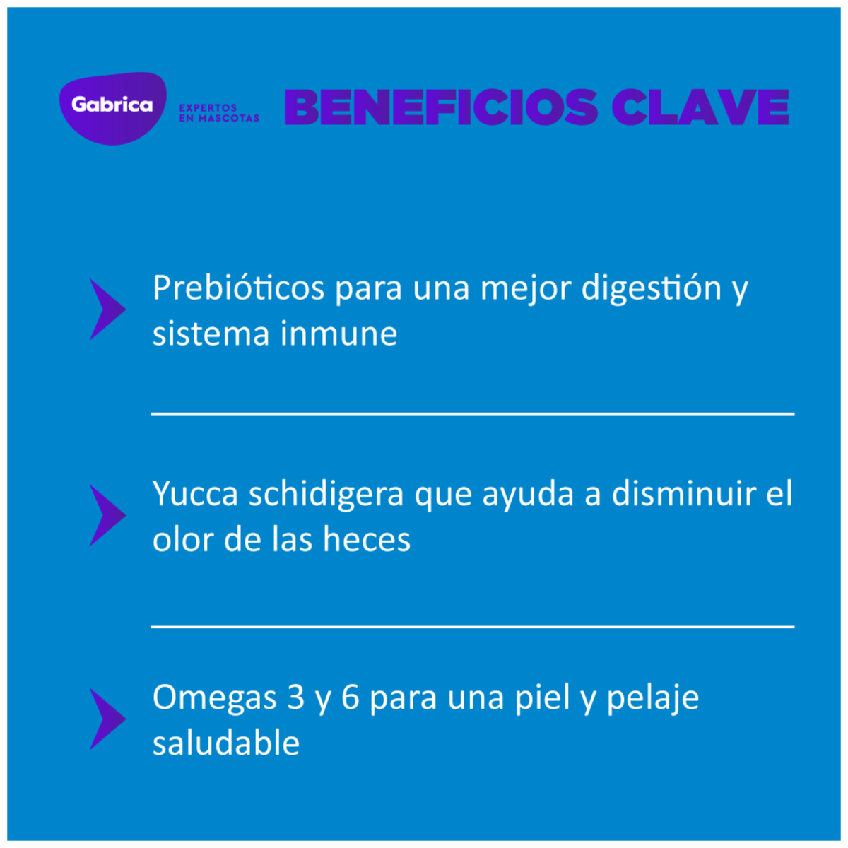 Alimento Seco Para Perro Guaumor Adulto Razas Medianas y Grandes