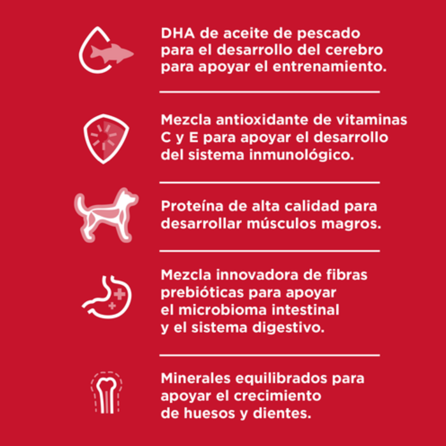 Alimento Para Perro Hills Science Diet Small & Mini Puppy Pollo