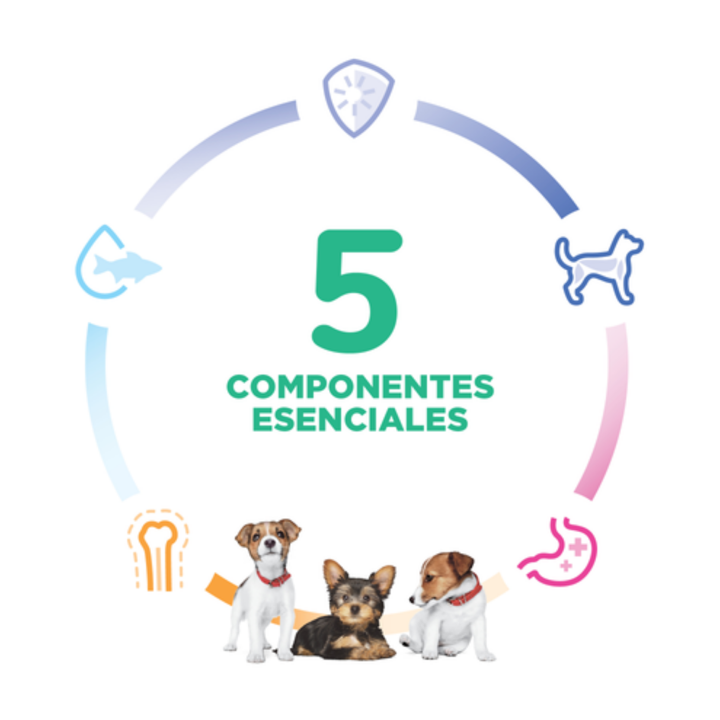 Alimento Para Perro Hills Science Diet Small & Mini Puppy Pollo