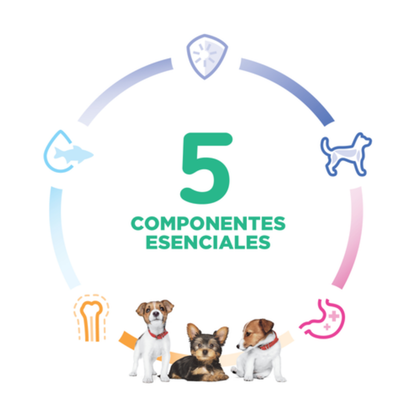 Alimento Para Perro Hills Science Diet Small & Mini Puppy Pollo