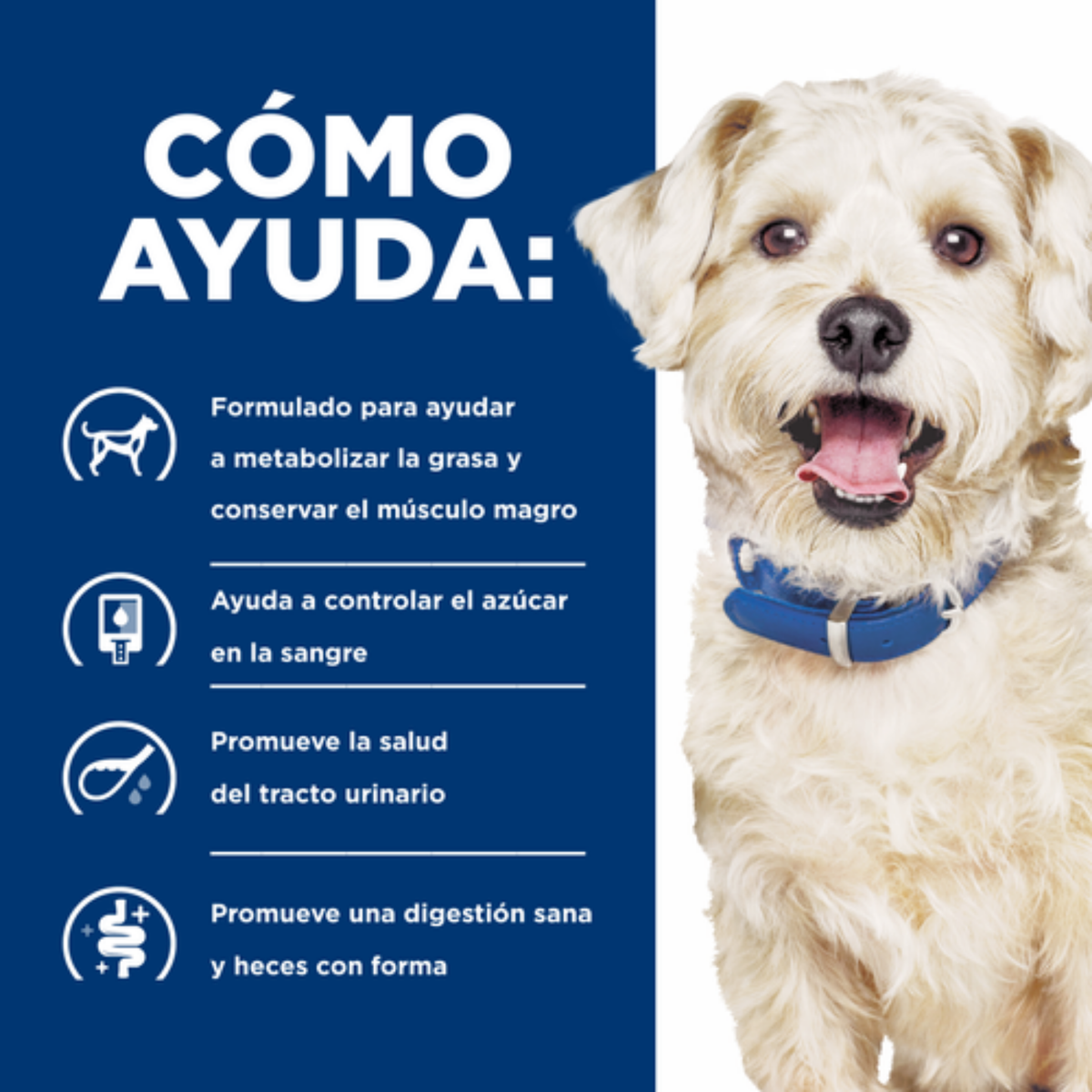 Hills Prescription Diet w/d Multi-Benefit Perro
