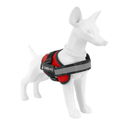 Arnés Para Perros Antitirones Calabaza Pets