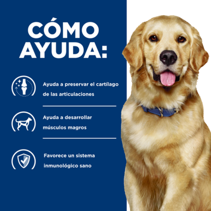 Hills Prescription Diet j/d Mobility Perro