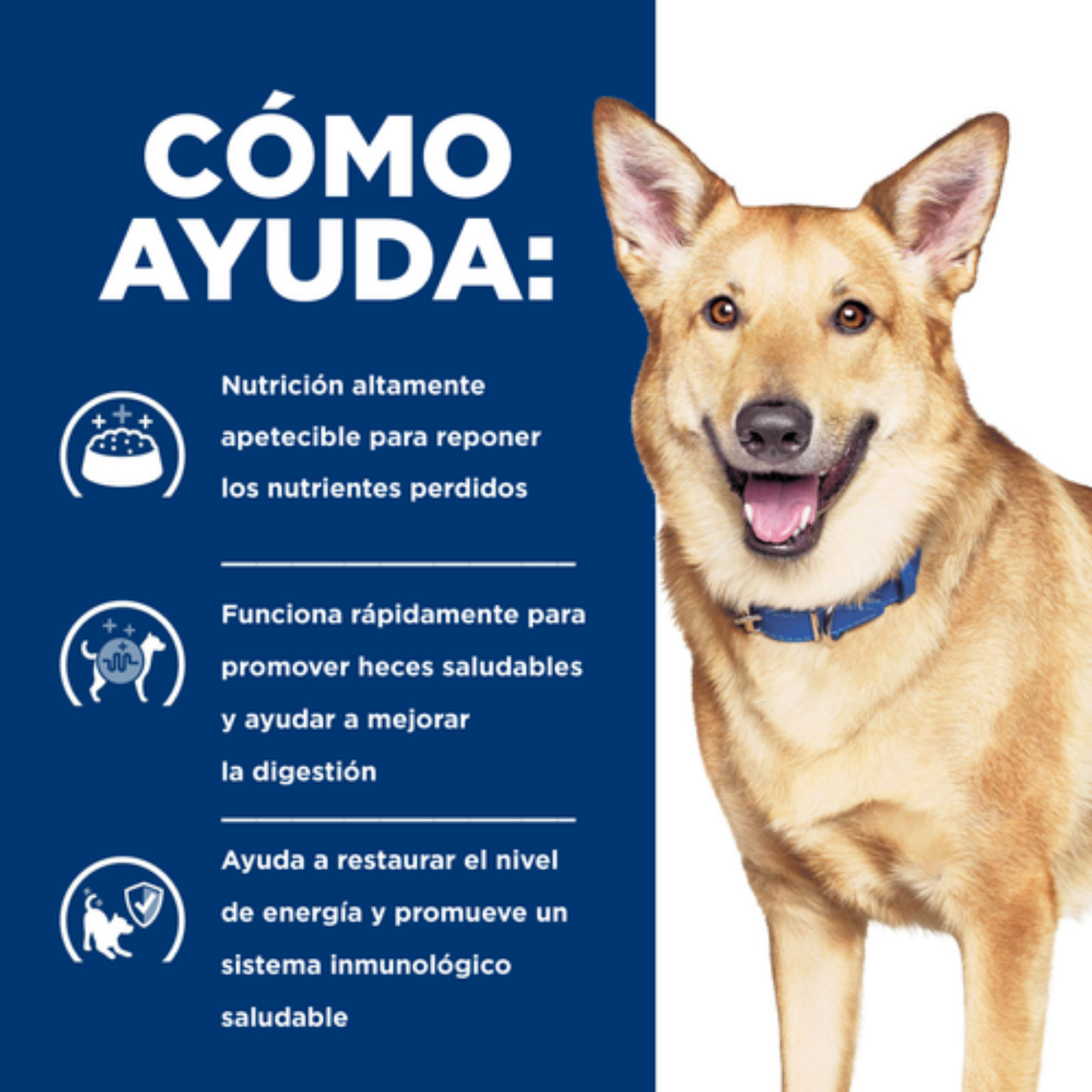 Hills Prescription Diet i/d Digestive Care Pavo Alimento Húmedo Perro