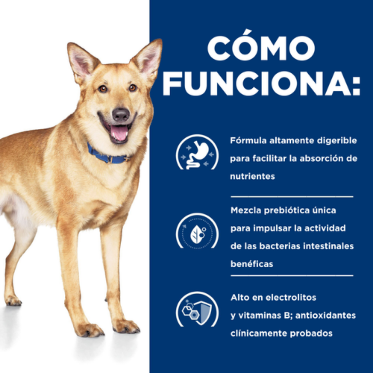 Hills Prescription Diet i/d Digestive Care Pavo Alimento Húmedo Perro