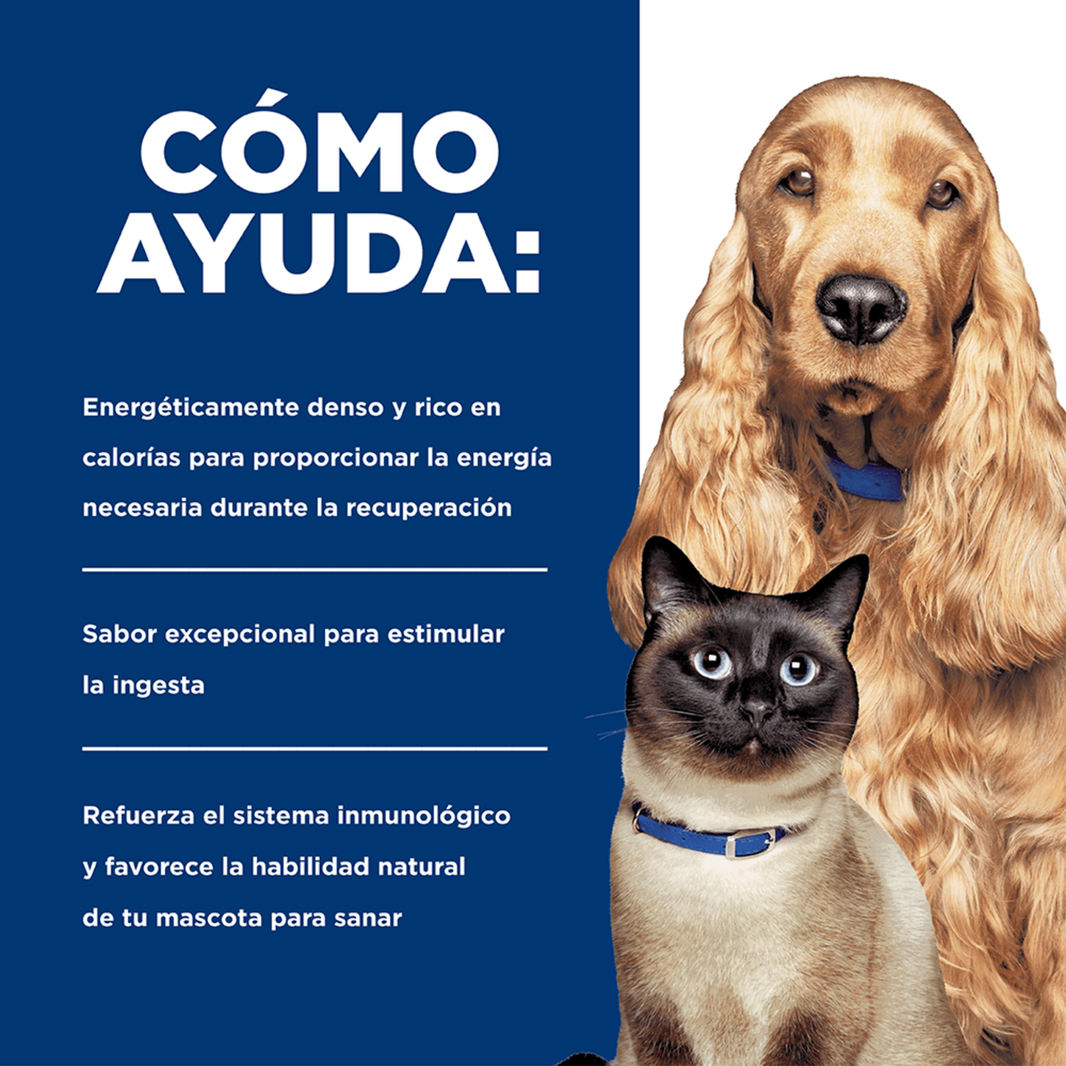 Alimento Para Perro y Gato Hills Prescription Diet a/d Urgent Care Pollo