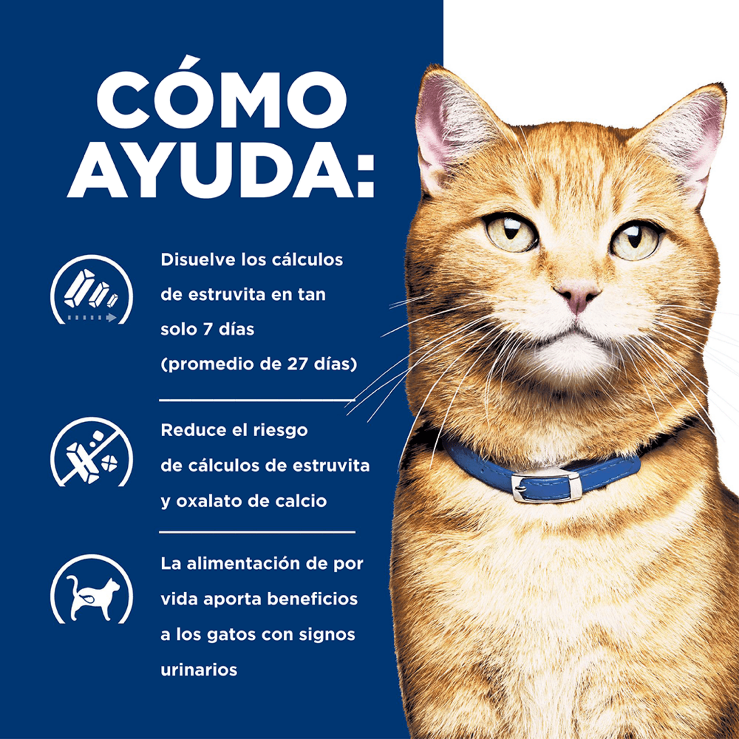 Alimento Para Gato Hills Prescription Diet c/d Multicare Urinary Care Humedo Pollo