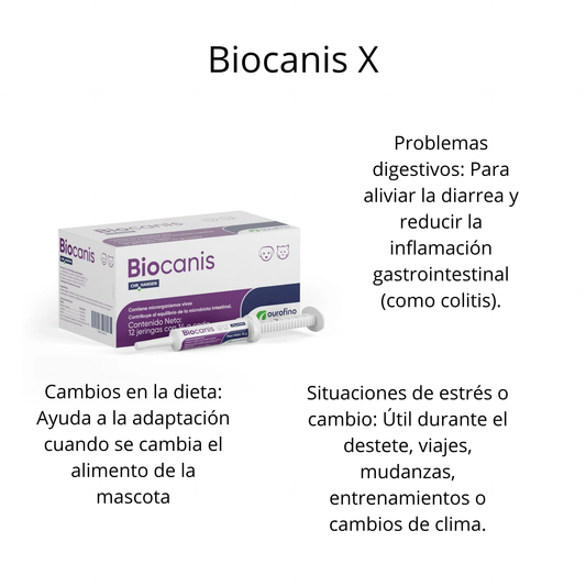 Suplemento Probiótico Digestivo Para Perro y Gato Biocanis X 12 Jeringas