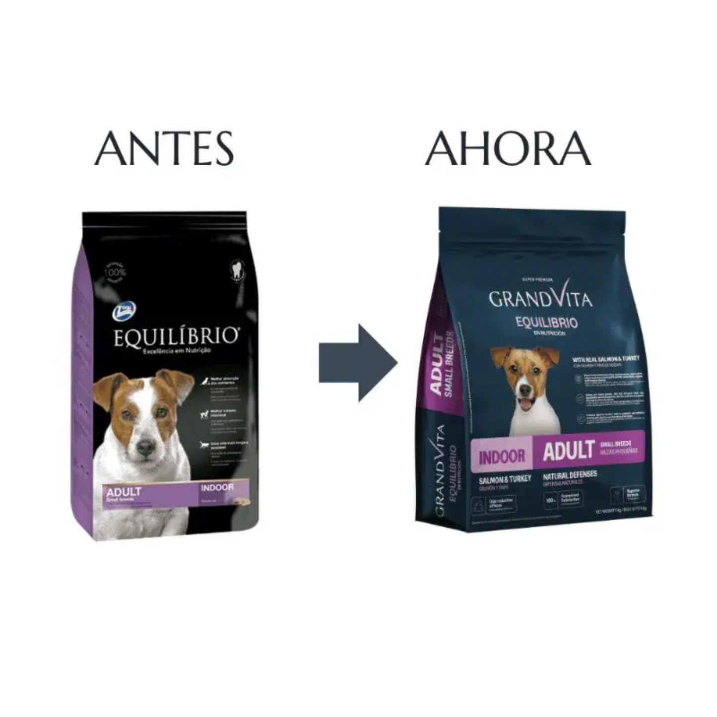 Alimento Grand Vita Equilibrio Perro Adulto Razas Pequeñas Indoor Salmón y Pavo