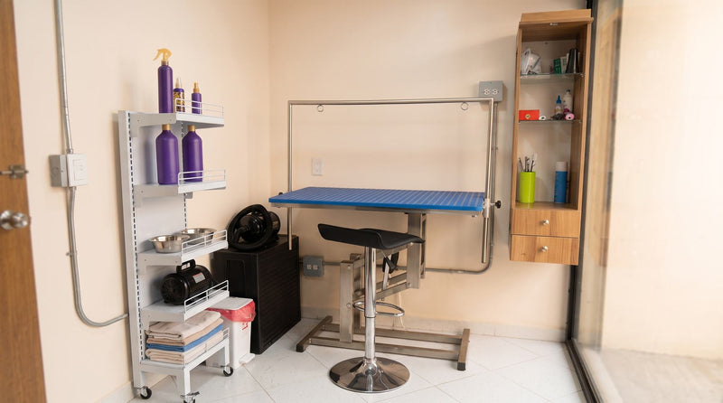 Mesón de grooming del spa de Lulutopia en Laureles, Medellín, con productos especializados